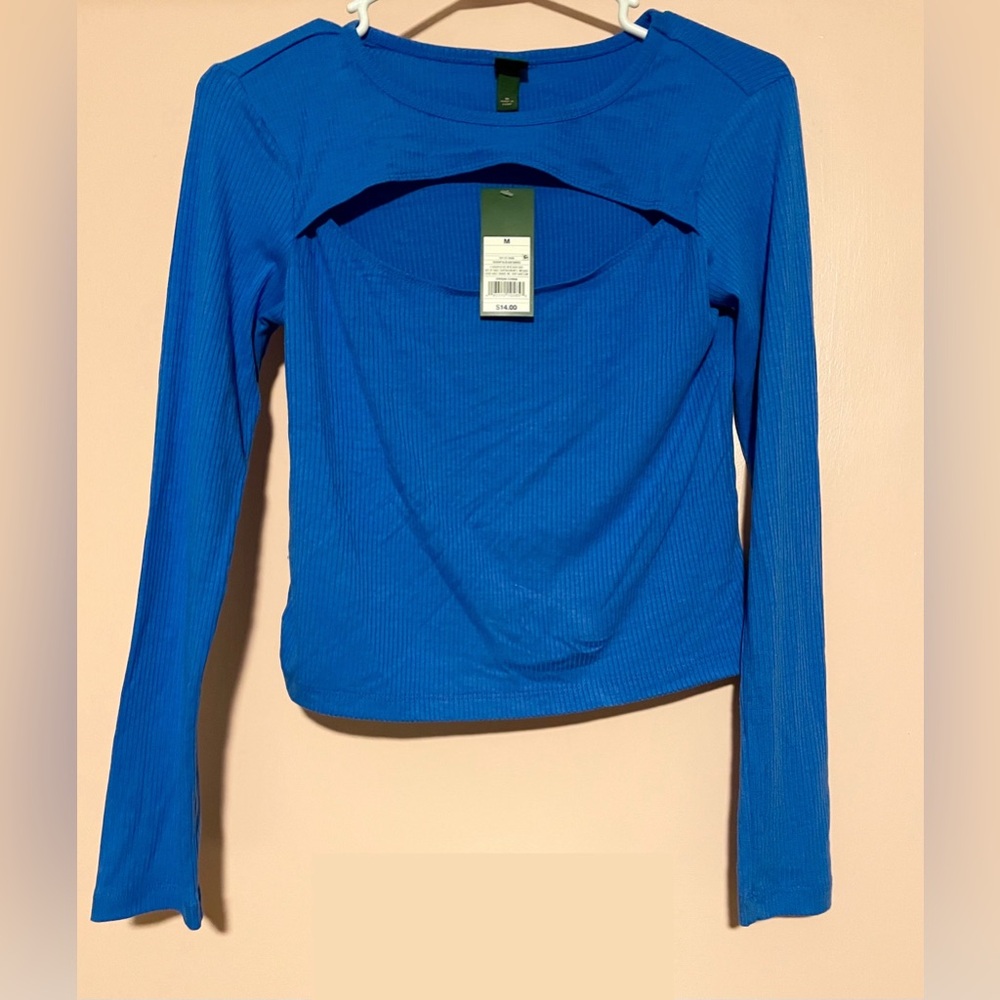 Wild Fable Long Sleeve Crop Top